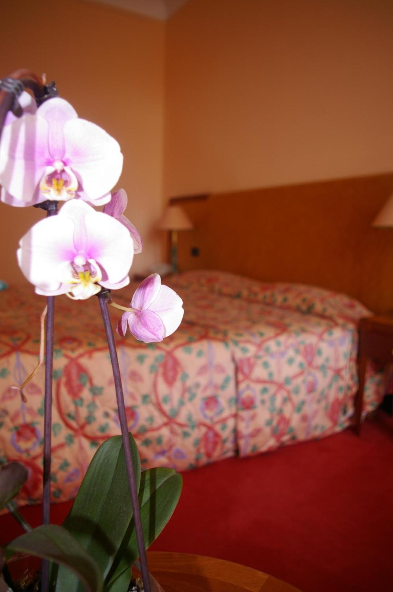 Hotel Aletti Palace Vichy Ngoại thất bức ảnh